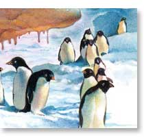 Antartic Adventures