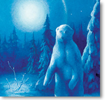  Winter Wonder