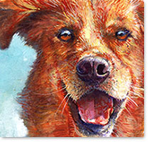 Dogs