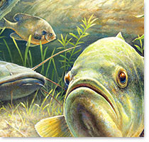 Guardian Fish