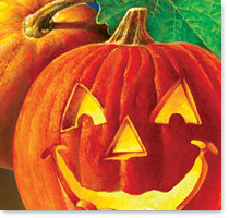 pumpkins