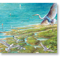 Cape Lookout Visitor's Center