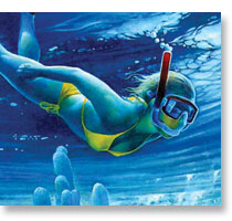 Coral Reef Life
